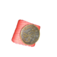 anillo del canaces