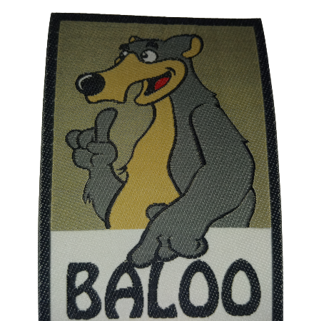 parche baloo
