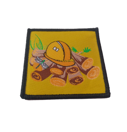 progresion castores constructor