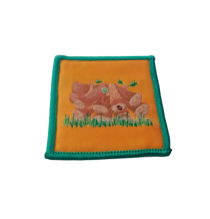 progresion castores recolectore