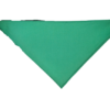 pañuelo verde