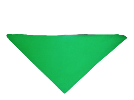 pañuelo scouter