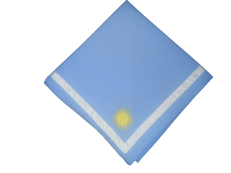 pañuelo delegacion Argentina