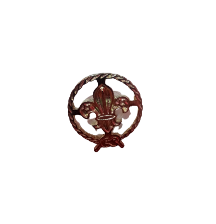 PIN FLOR PLATIADA CALADA