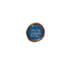 pins director de zona