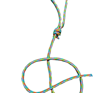 cordon cuatricolor
