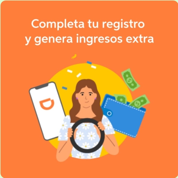 registro didi
