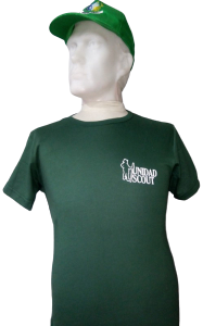 remera unidad frente