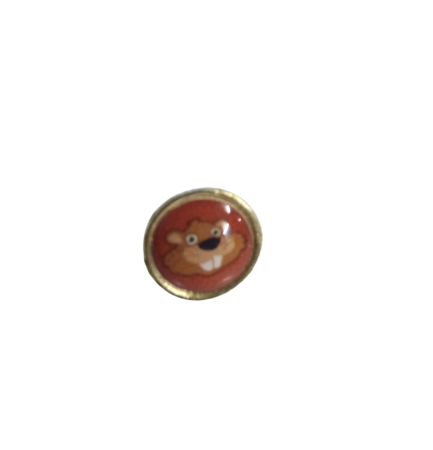 pins castores