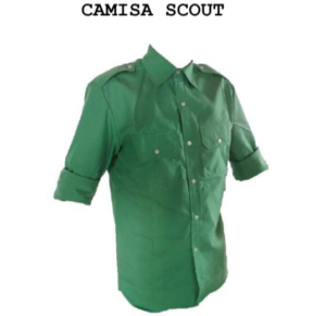 camisa verde