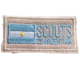 insignia scouts de argentina