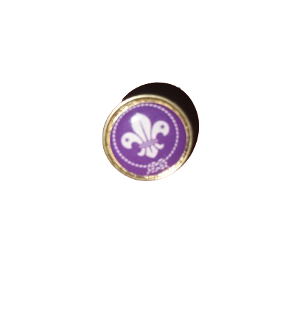 pin internacional violeta