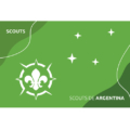 bandera unidad nueva