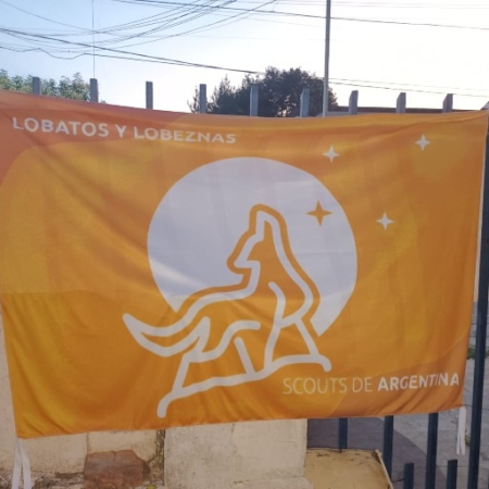 bandera manada nueva1