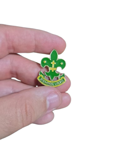 pins flor de lis usca